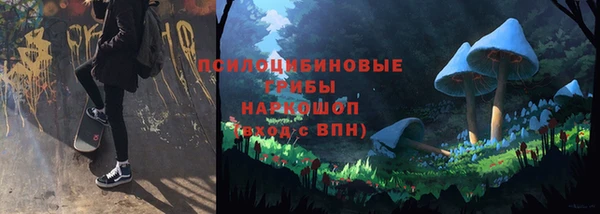 дмт Аркадак