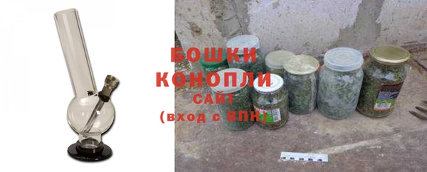 PSILOCYBIN Балабаново
