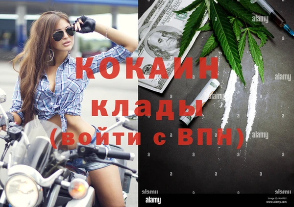 дмт Аркадак