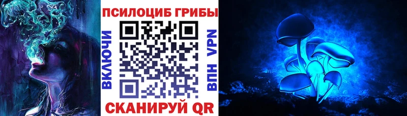 где найти   кракен ТОР  Псилоцибиновые грибы мухоморы  Ликино-Дулёво 